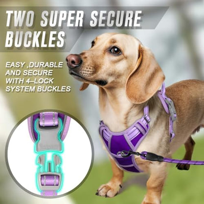 BARKBAY Dog Harness No Pull for Small Sized Dog Front Back Clips, Dog Vest - Image 4