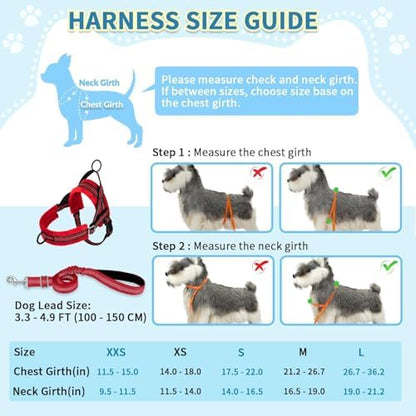 SlowTon No Pull Small Dog Harness and Leash Set - Image 5