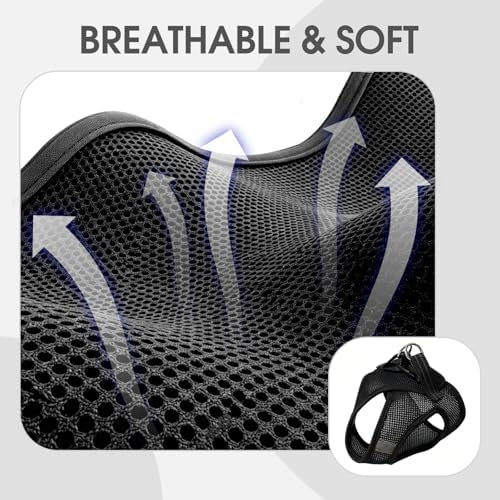 Heywean Cat Harness and Leash Escape Proof, Soft Breathable Mesh Kitty Walking - Image 3
