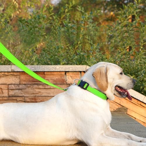6 FT Basic Dog Leash for Small Dogs - Image 3