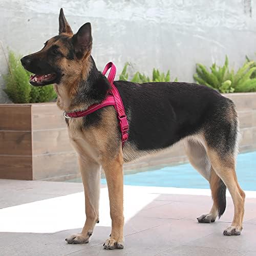 Plutus Pet No Pull Dog Harness for Large Dogs, Breathable Mesh Padded - Image 5