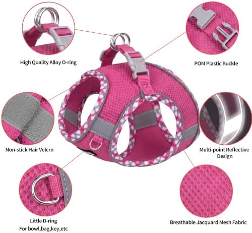 AIITLE Teacup Puppy Harness and Leash - Image 2