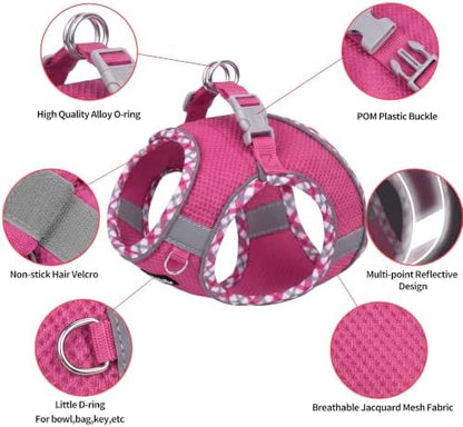AIITLE Teacup Puppy Harness and Leash - Image 2