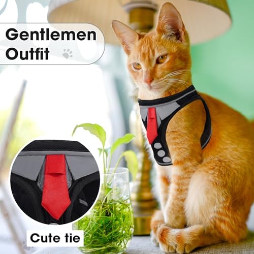 Cat Harness and Leash Set for Walking Escape Proof Vest for Kitten - Image 3