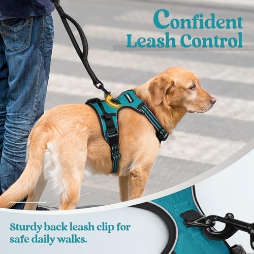 rabbitgoo Dog Harness, No Pull Medium Sized - Image 6