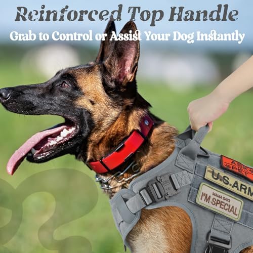 rabbitgoo Tactical Dog Harness for Small, Heavy Duty Military No Pull Vest - Image 5