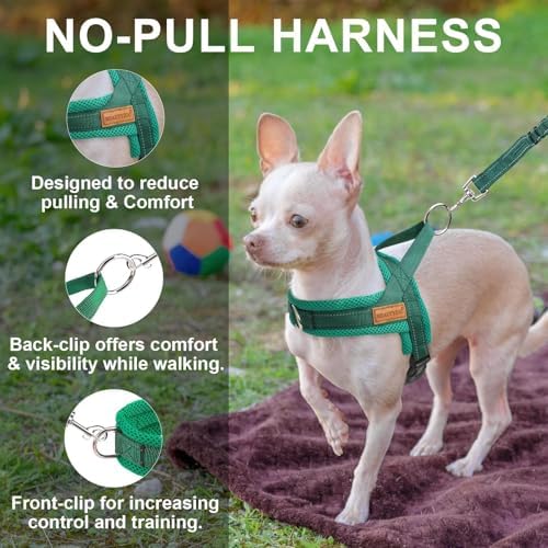 BEAUTYZOO Small Dog Harness and Leash Set, No Pull Step in Puppy Vest - Image 6