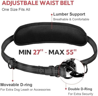 Hands Free Dog Leash for Two Dogs Walking - Image 2