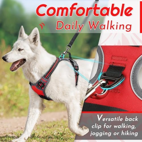 Eagloo Dog Harness for Small Dogs, No Pull Pet Vest - Image 4