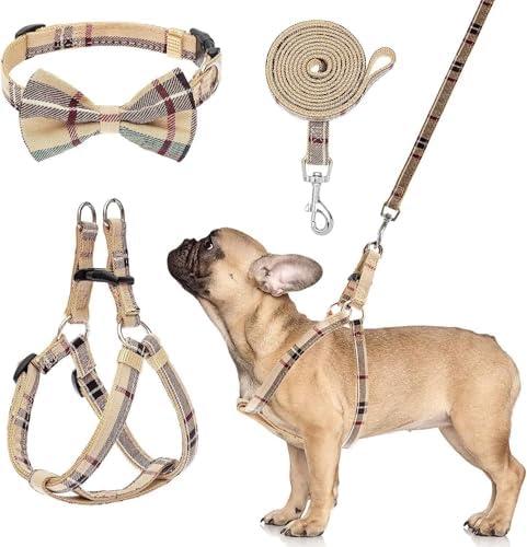 BINGPET No Pull Dog Harness Leash Collar Set, Adjustable Step-in Vest by BINGPET