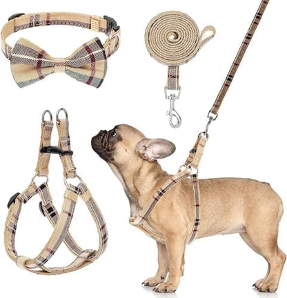 BINGPET No Pull Dog Harness Leash Collar Set, Adjustable Step-in Vest by BINGPET