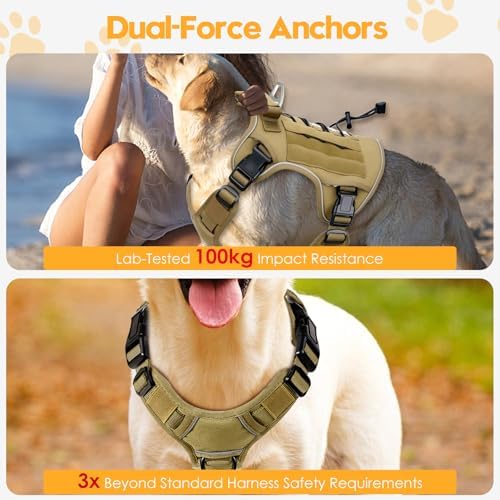 Heavy-Duty Tactical Dog Harness - Image 4
