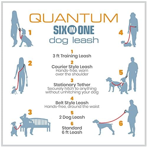 Kurgo Quantum 6-in-1 Dog Leash, Adjustable, Hands-Free Option, Coastal Blue - Image 5
