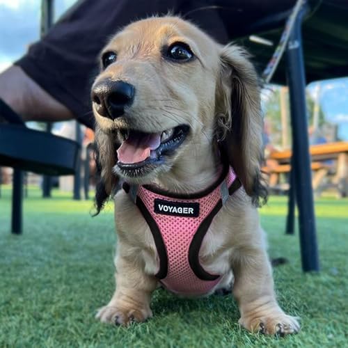 Voyager Step-in Air Dog Vest Harness - Image 3