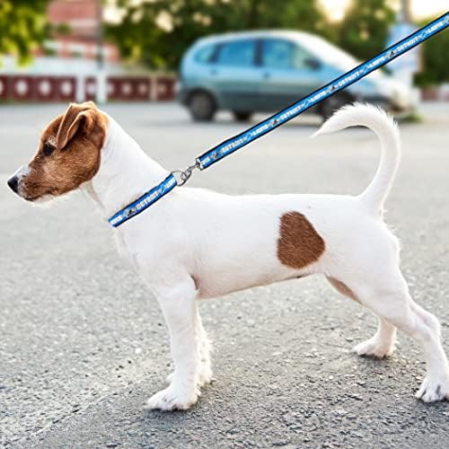 Pets First NFL Pet Leash, Detroit Lions - Image 5