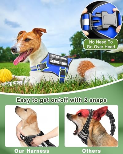 Small Service Dog Vest Harness and Leash Set+10 Patches Blue XS - Image 4