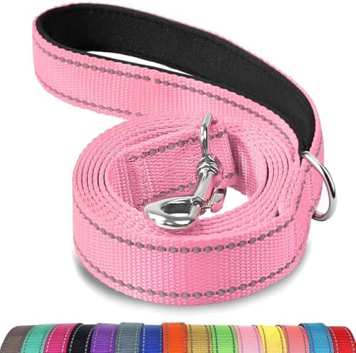 Joytale Reflective Dog Leash for Medium & Large Dogs, 5 FT x 1" by Joytale