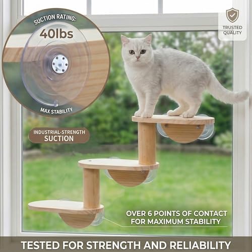 Cat Window Ladder, 3-Level Solid Pine Steps - Image 4