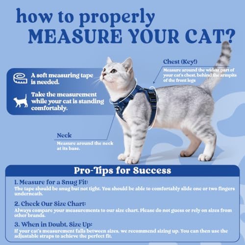 rabbitgoo Cat Harness and Leash Set, Escape Proof Vest, Cosmic Ace - Image 2