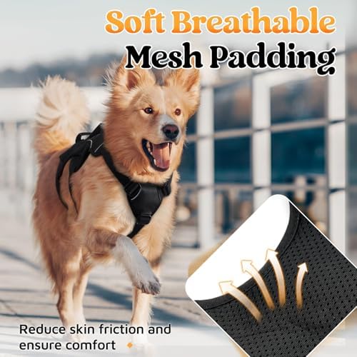 rabbitgoo Escape Proof Dog Harness - Image 6