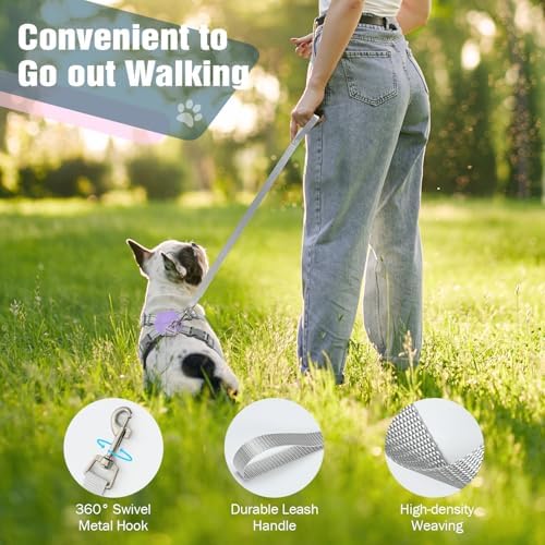 Pawaboo Small Dog Harness and Leash Set, Puppy Harness X-Frame Adjustable - Image 6