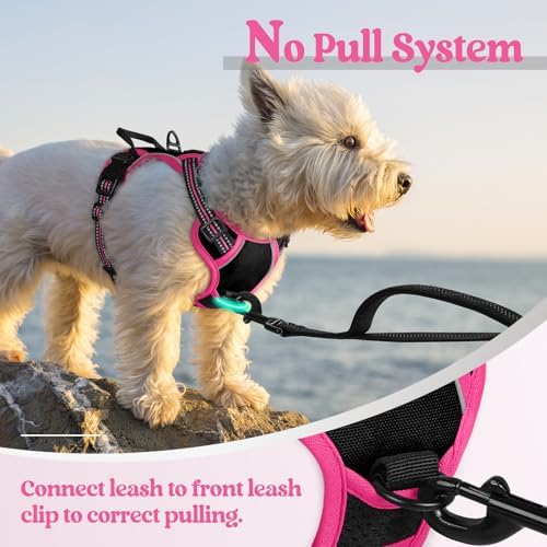 rabbitgoo Dog Harness, No Pull for Small Dogs - Image 5