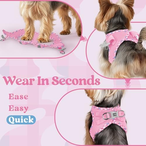rabbitgoo Step-in Small Dog Harness, Puppy Vest - Image 6