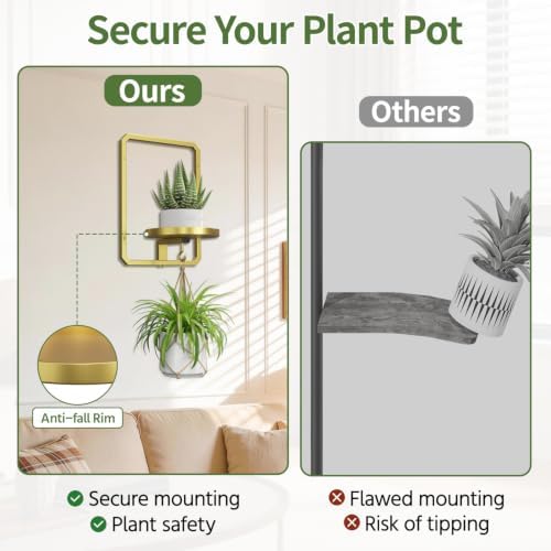 LASZOLA Plant Picture Frame Holder Shelf Wall - Image 5
