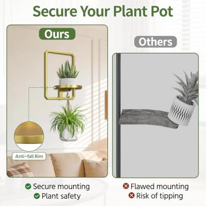 LASZOLA Plant Picture Frame Holder Shelf Wall - Image 5