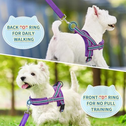 SlowTon No Pull Small Dog Harness and Leash Set - Image 4
