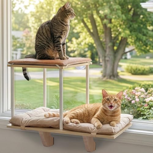 PETSFIT Cat Window Perch, Dual-Level, Suction Cups & Wood Base, Large Cats by Petsfit