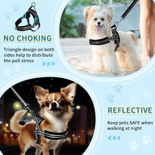 SlowTon No Pull Small Dog Harness and Leash Set - Image 3