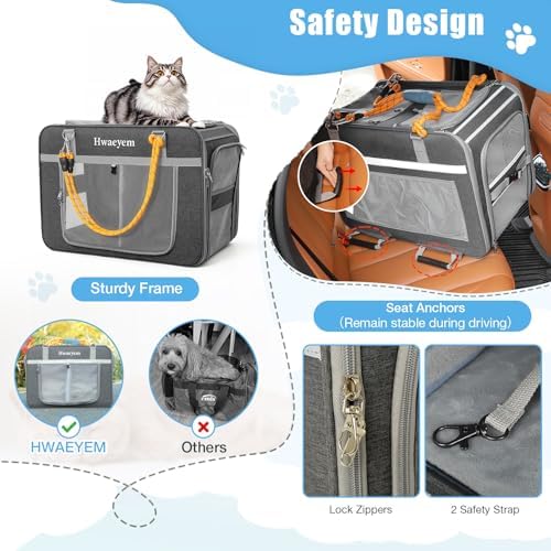 Rolling Extra Large Pet Cat Carrier - Image 4