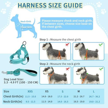SlowTon No Pull Small Dog Harness and Leash Set - Image 5