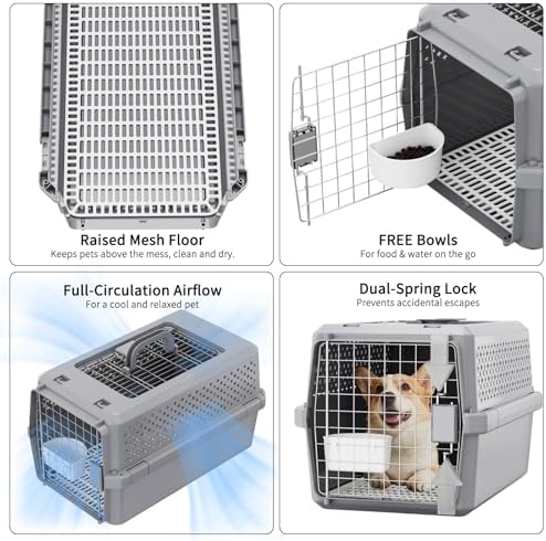 RIZZARI Hard-Sided Elevated Carrier: Rolling Pet Crate Ventilated 25 lbs - Image 7