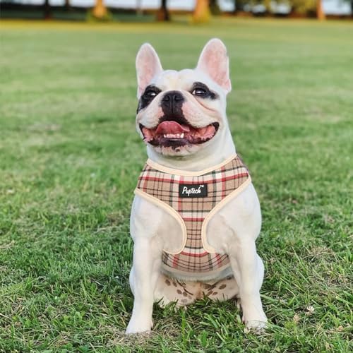 PUPTECK Small Dog Harness and Leash Set No Pull - Image 6