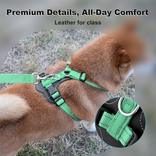 Plutus Pet No Pull Dog Harness - Image 2