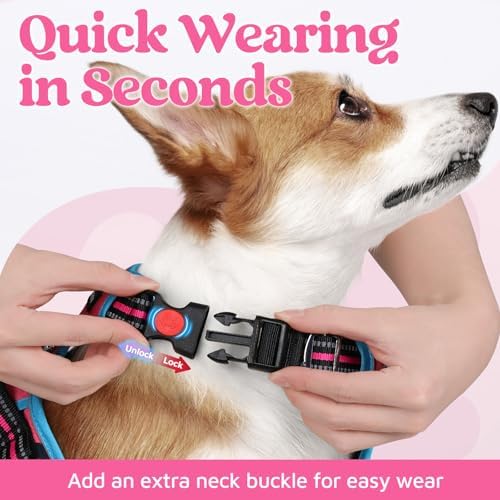 rabbitgoo Dog Harness Medium Sized, No Pull 3 Buckles Easy On & Off - Image 2