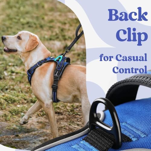 rabbitgoo Dog Harness Medium Sized, Updated Easy On & Off - Image 6