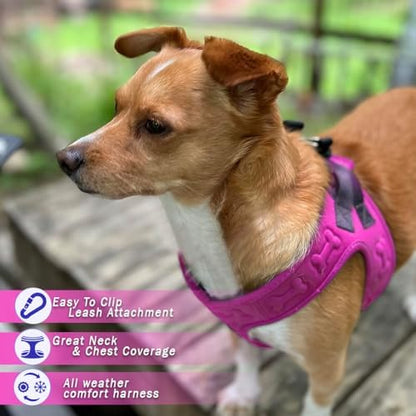 Comfort Fit No Pull Dog Harness – Adjustable Step-in Vest - Image 2