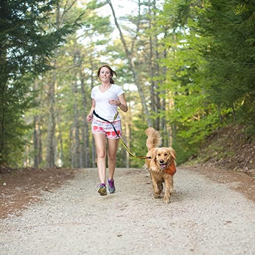 Kurgo Quantum Leash 2.0 - Image 6