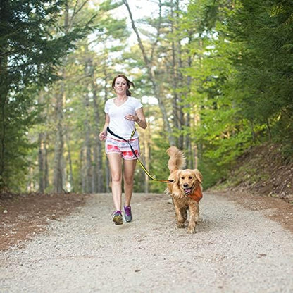 Kurgo Reflective 6-in-1 Quantum Dog Leash, Barn Red - Image 6
