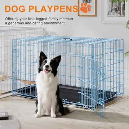 FDW | 42" Foldable Metal Dog Crate | Blue | Cage - Image 2