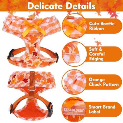 EXPAWLORER Fall Dog Harness and Leash Set Small Sized - Image 4