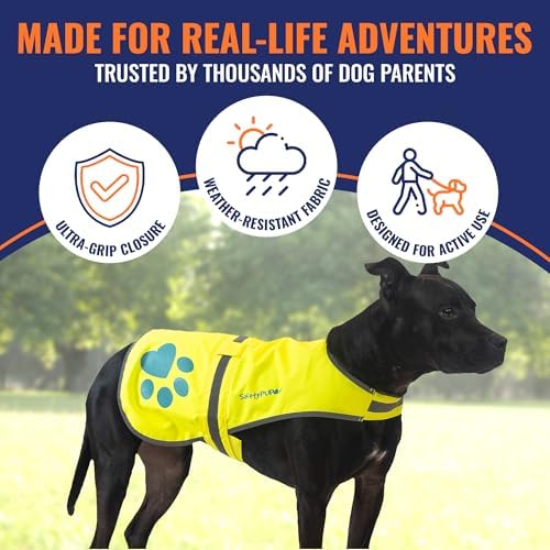 Reflective Dog Vest, Hi Vis Safety Gear - Image 4