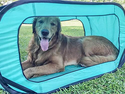 Pop Open Collapsible Travel Crate in 2 Sizes - Image 2