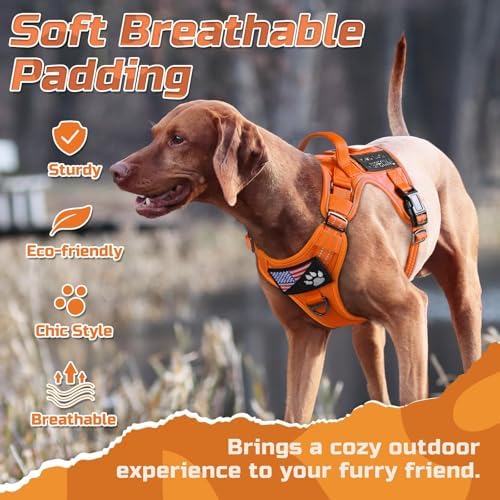 rabbitgoo Tactical Dog Harness for X-Large, No Pull Military Service Vest - Image 3