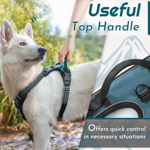 Eagloo Dog Harness for Small Dogs, No Pull Pet Vest - Image 5