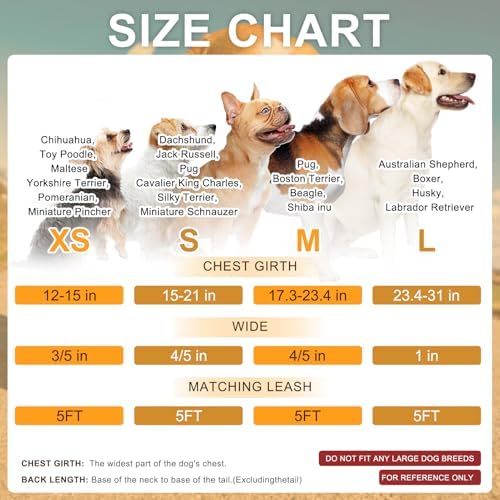 BEAUTYZOO No Pull Dog Harness and Leash Set - Image 5