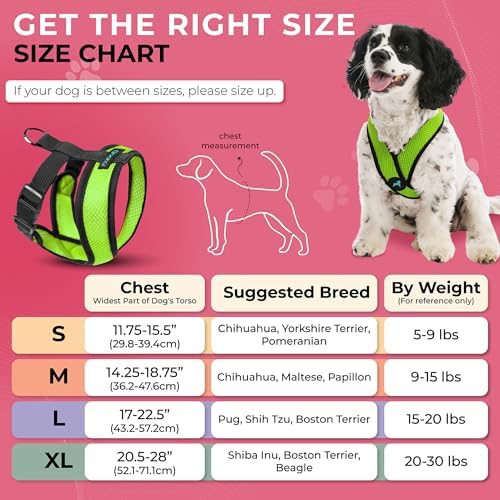 Gooby Comfort X Head-in Dog Harness, Choke-Free - Image 4